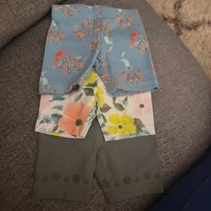 3T Carter's Toddler shorts